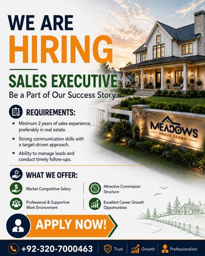 Sales Executive