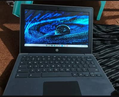 HP CHROMEBOOK