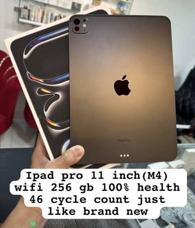 Apple ipad pro 11 inch M4