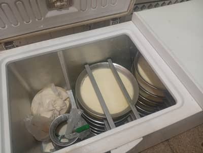 double door freezer for sell all okay