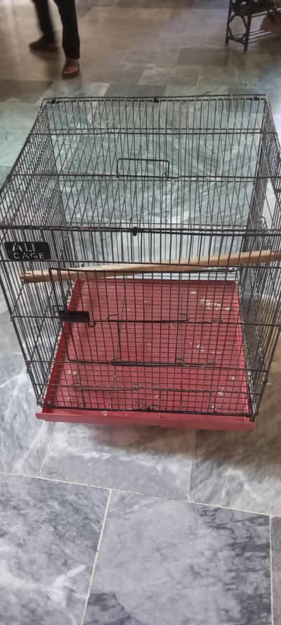bird cage for sale