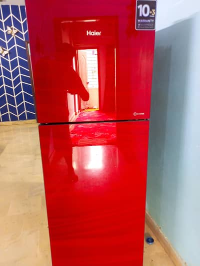 brand new freezer