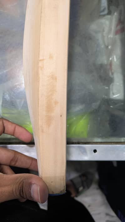 Grade A English Willow bat | Good condition