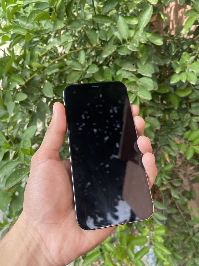 Apple iPhone 12 pro 4