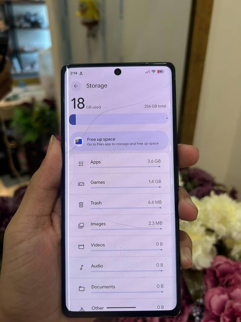 Google Pixel 6 Pro 7