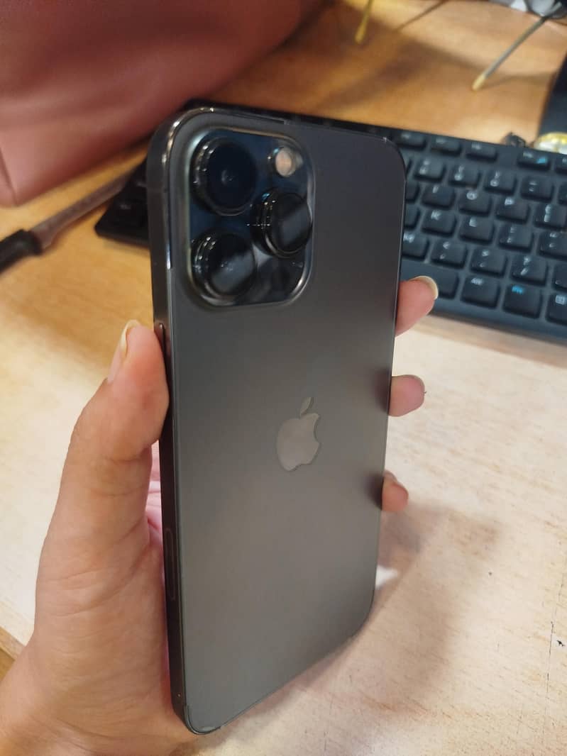 Apple iPhone 13 Pro Max 1