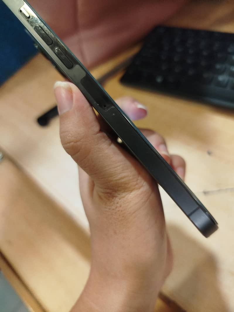 Apple iPhone 13 Pro Max 3
