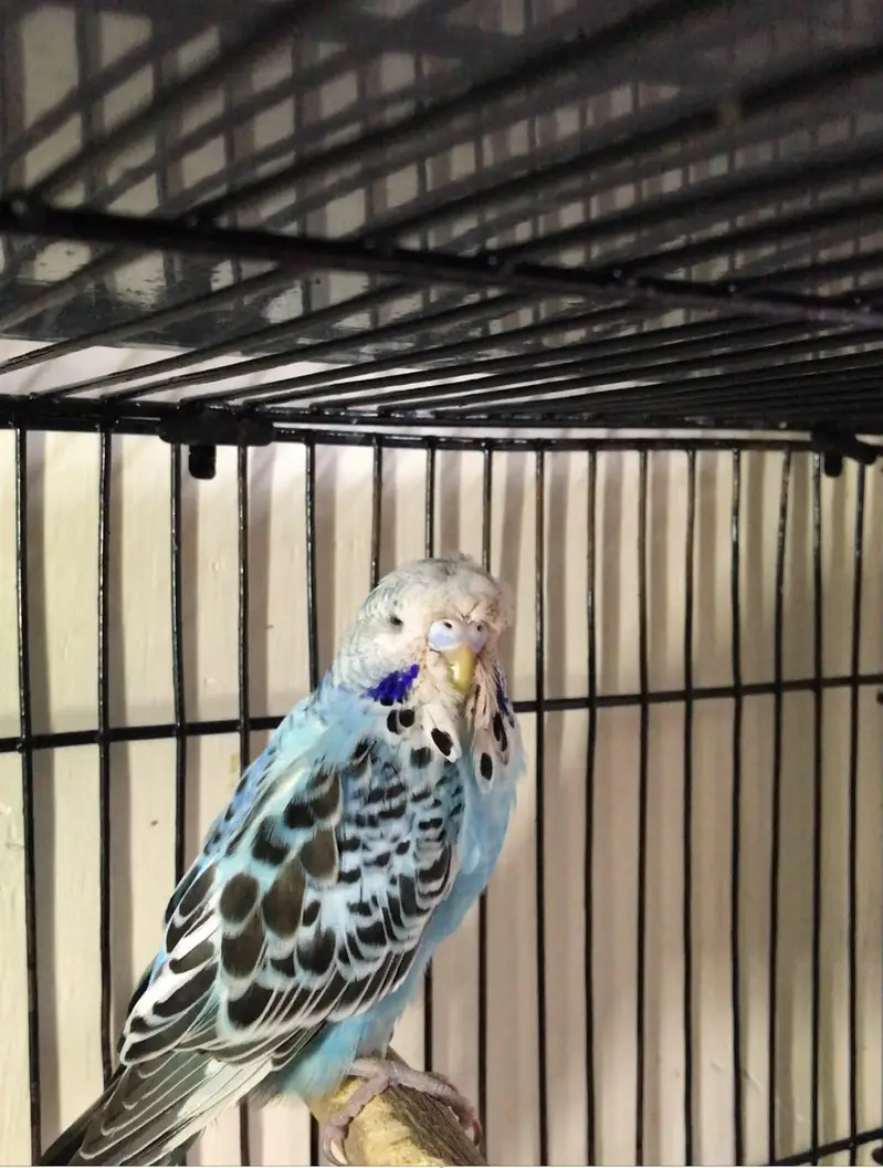 Under Exi, Rainbow , TCB, Lovebirds, Rozokoli, — photo 2