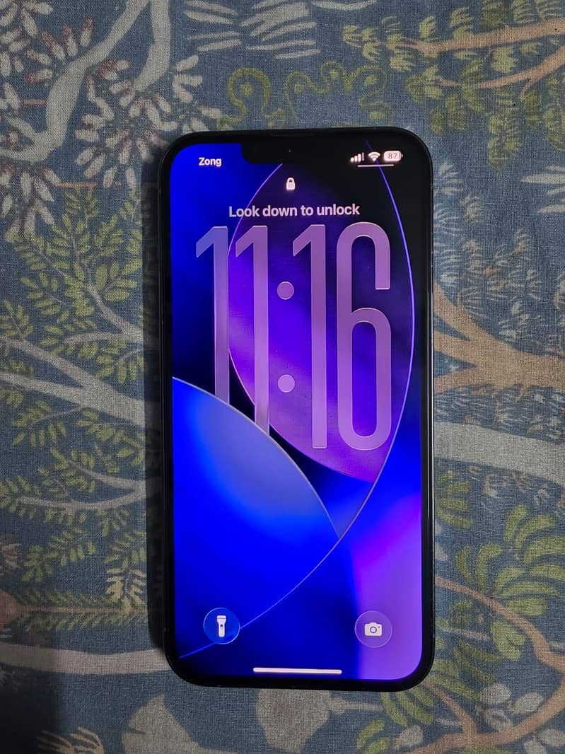 Apple iPhone 13 Pro 1