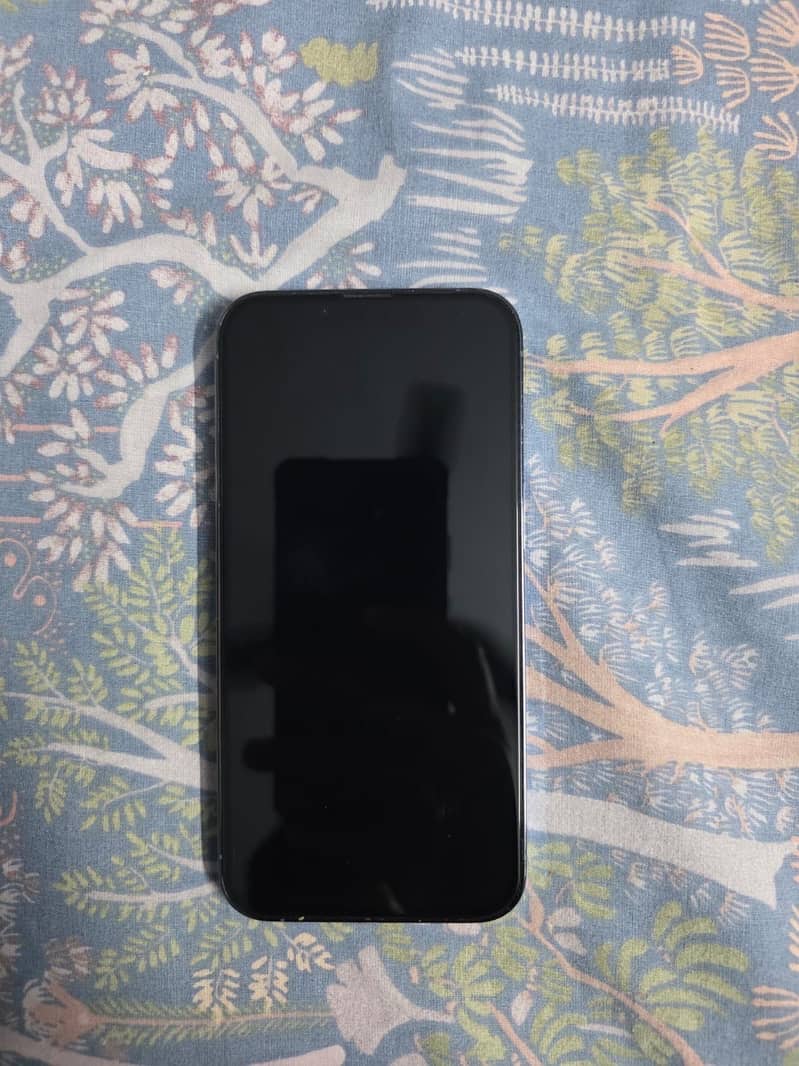 Apple iPhone 13 Pro 7