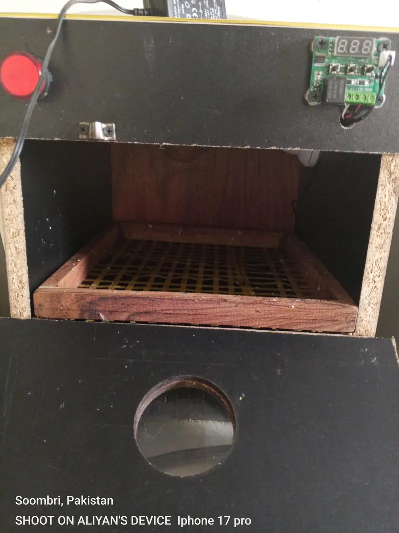 incubator with free bulb gift — photo 2