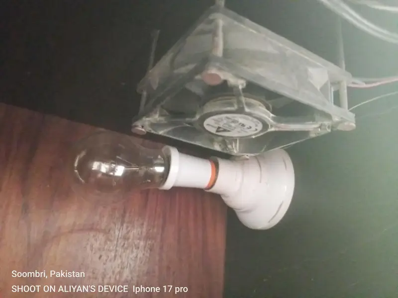 incubator with free bulb gift — photo 3