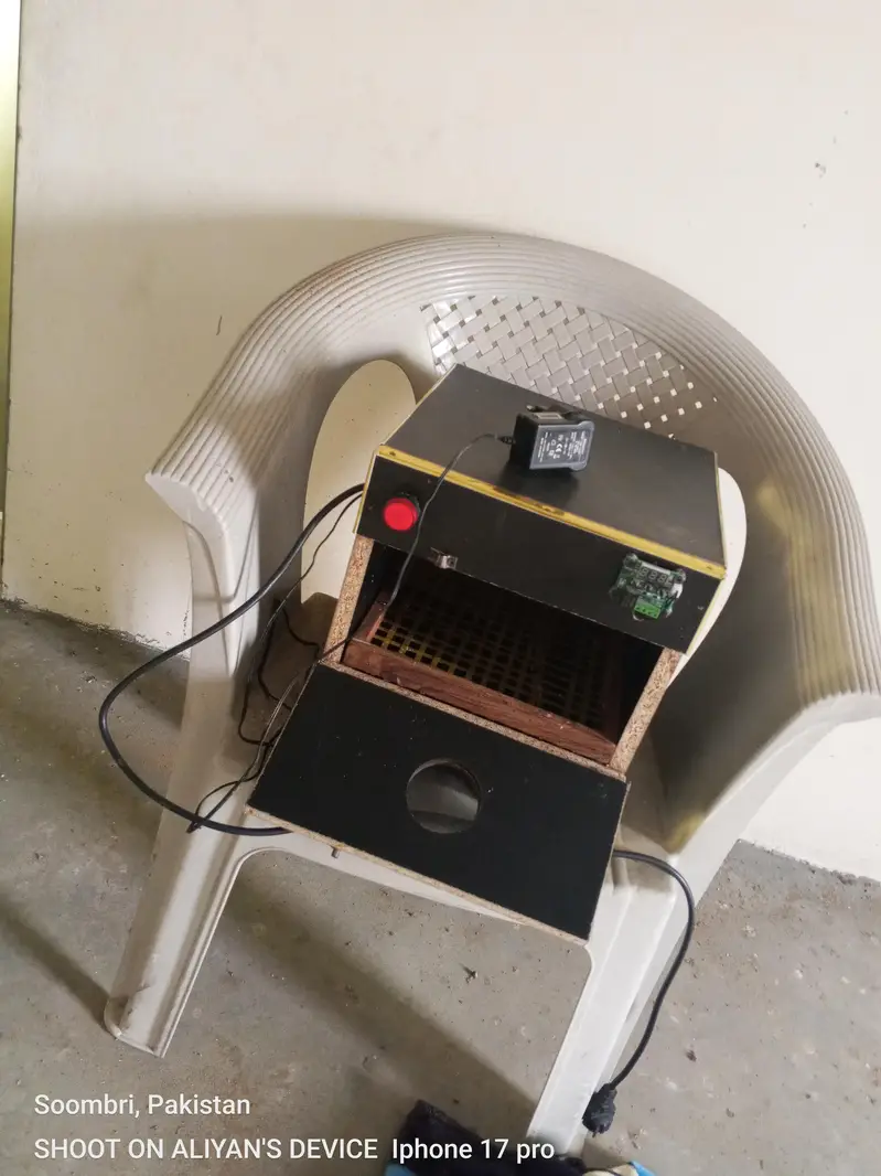 incubator with free bulb gift — photo 4