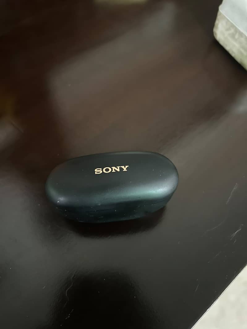 SONY Earbuds 1