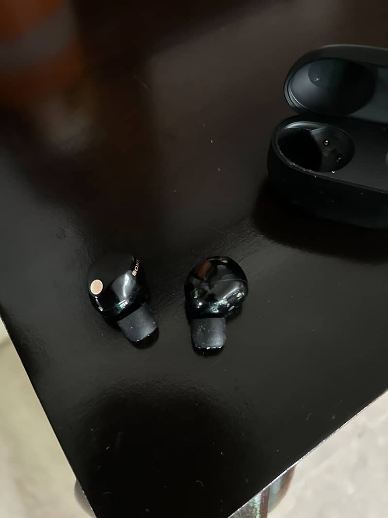 SONY Earbuds 2