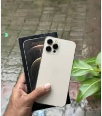 Apple iPhone 12 Pro Max