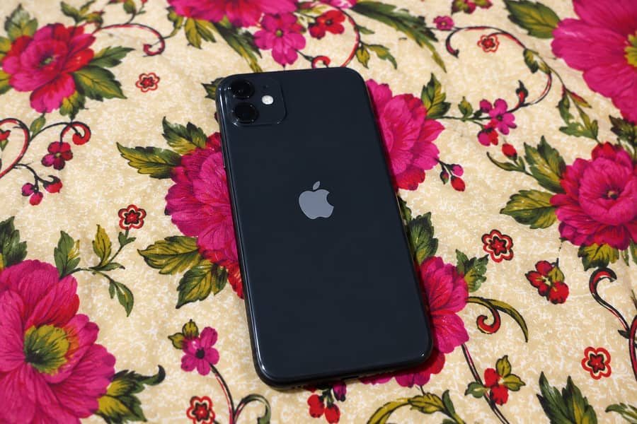 Apple iPhone 11 0