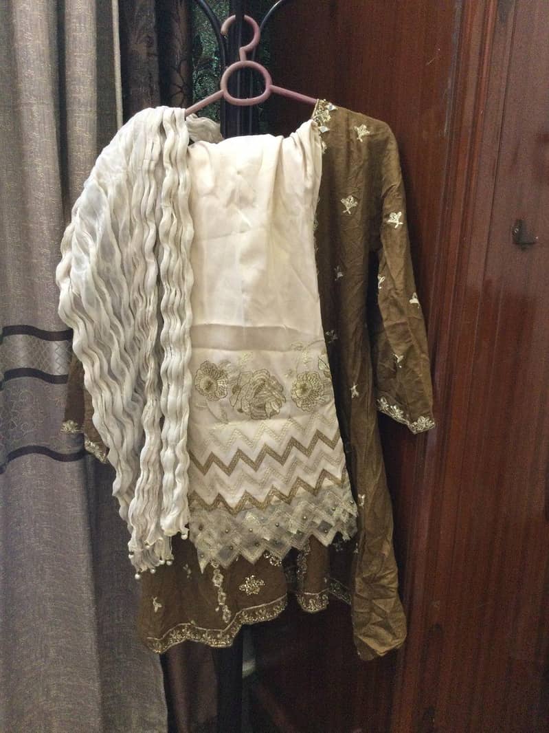 fancy clothes 1