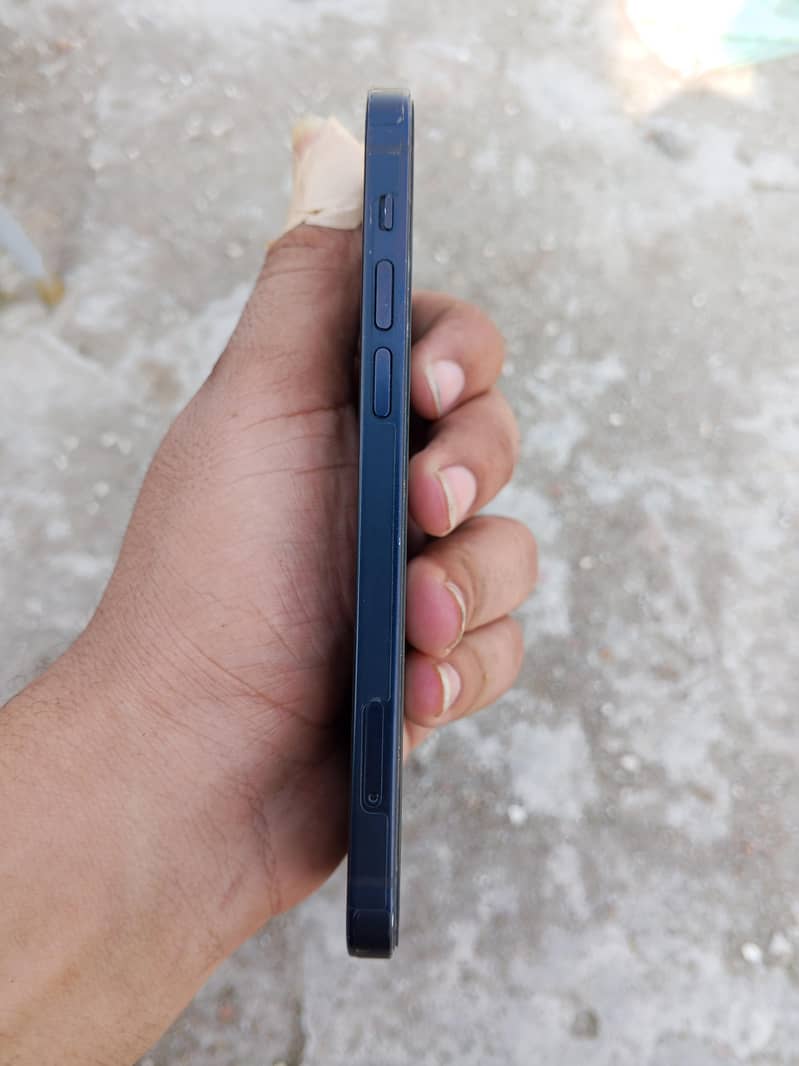 Apple iPhone 12 1
