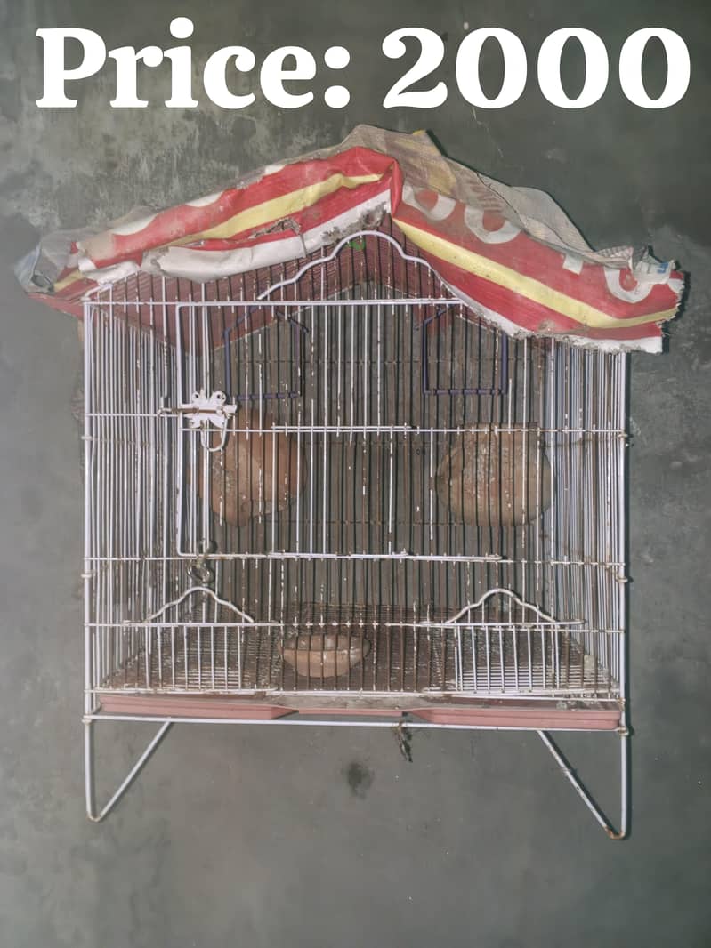 Cages 0