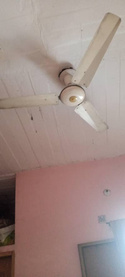 Al sheikh fan