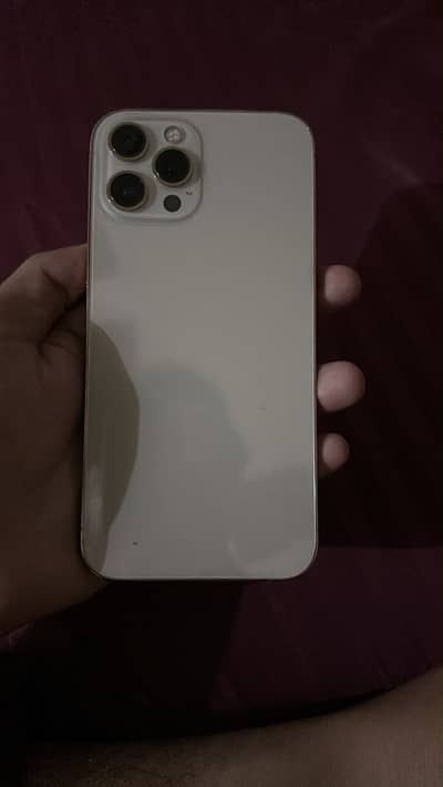 Apple iPhone 12 Pro Max