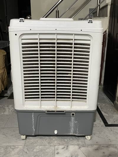 2025model