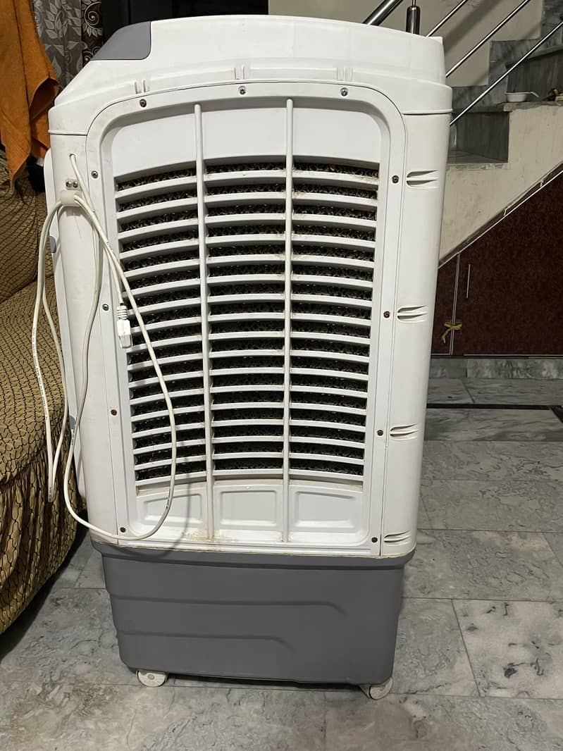 2025model 1