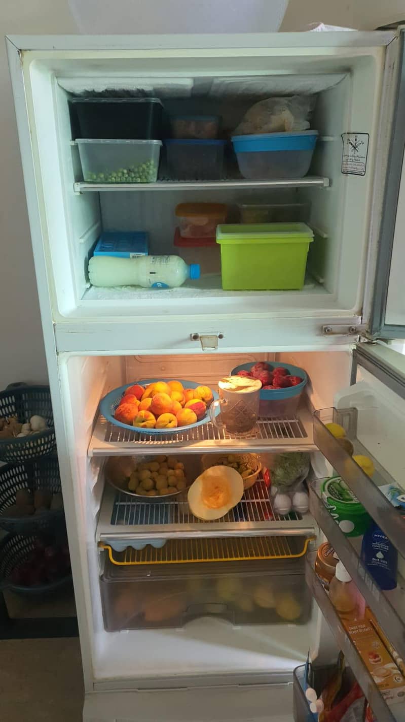 fridge 1