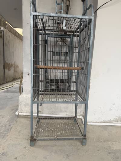 Cockatoo cage
