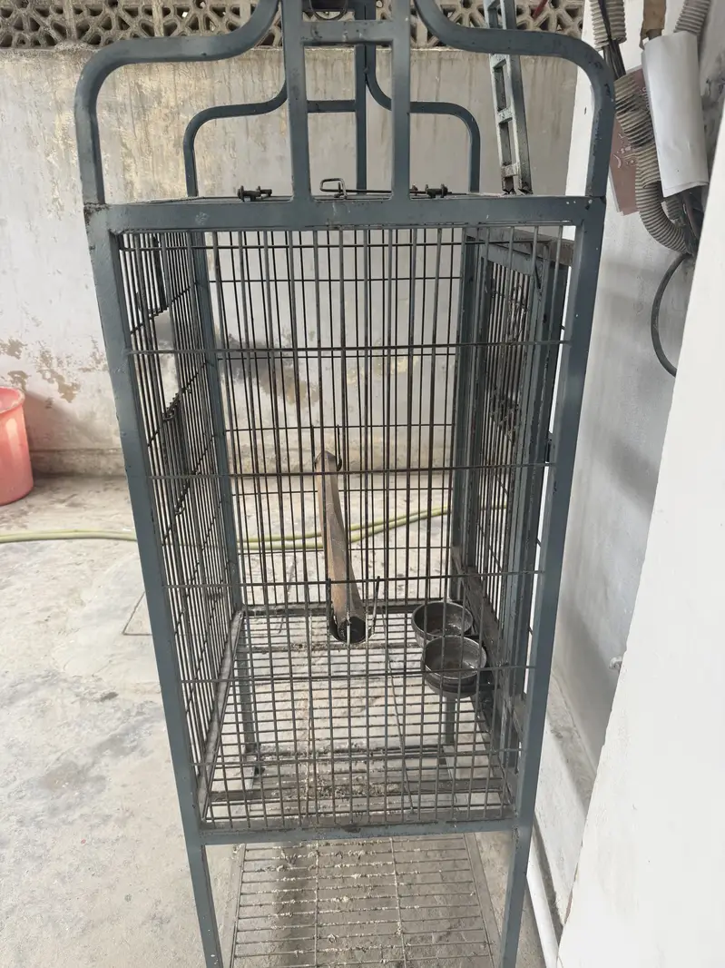 Cockatoo cage — photo 2