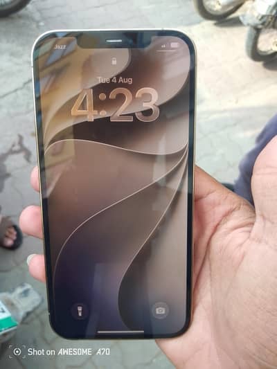 Apple iPhone 12 Pro Max