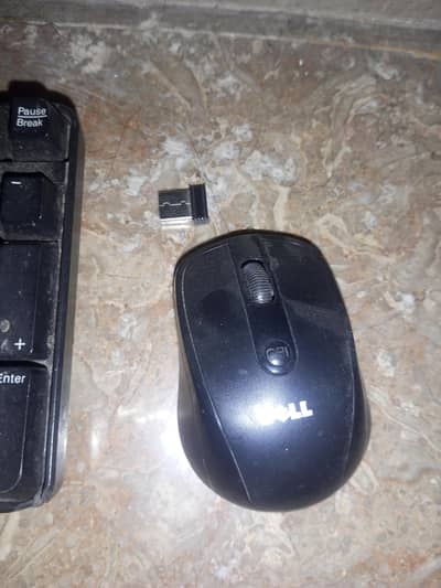 Dell mouse