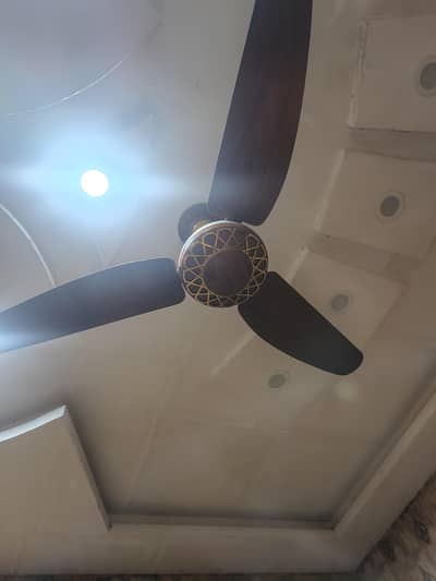 3ceiling fan and 3wall fan