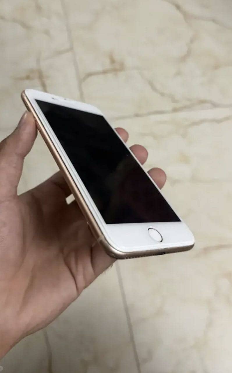 Apple iPhone 8 Plus 1