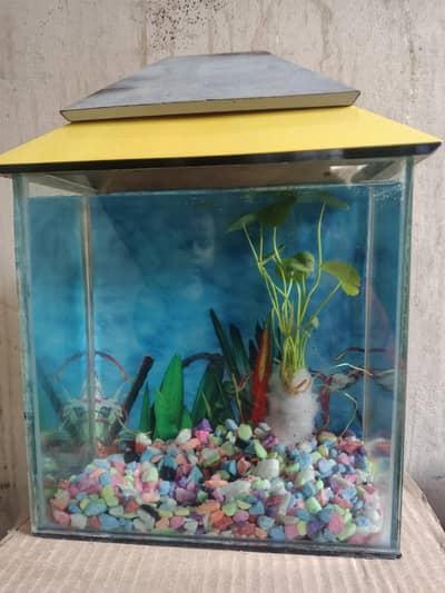 Aquarium for sale