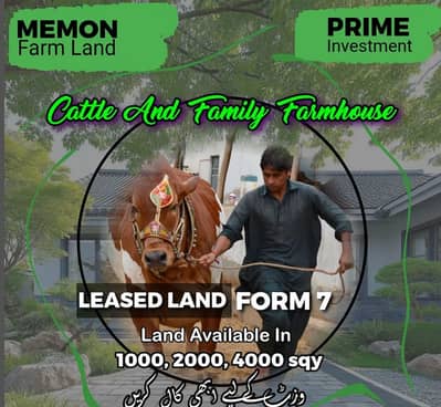 Cattle farm house