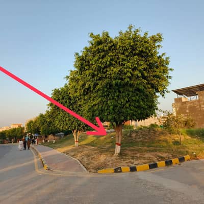 Residential plot 50x90 st#118 solid land 100% level 50 feet wide road sun face prime location available for sale in G-14/3