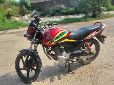arejant sale
