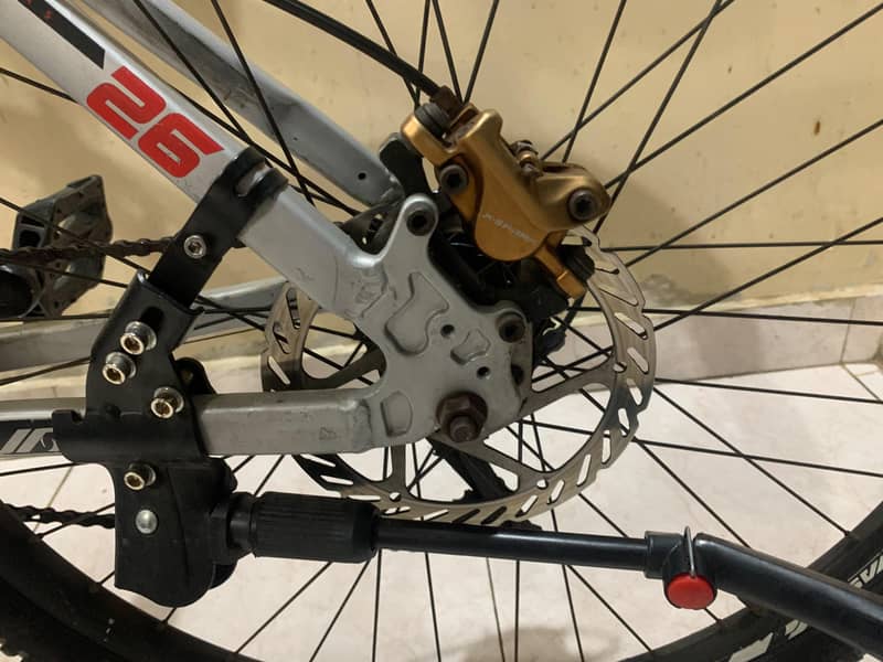 Alvas cycle 10