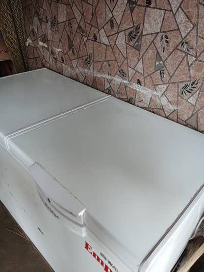 waves double D freezer for sale