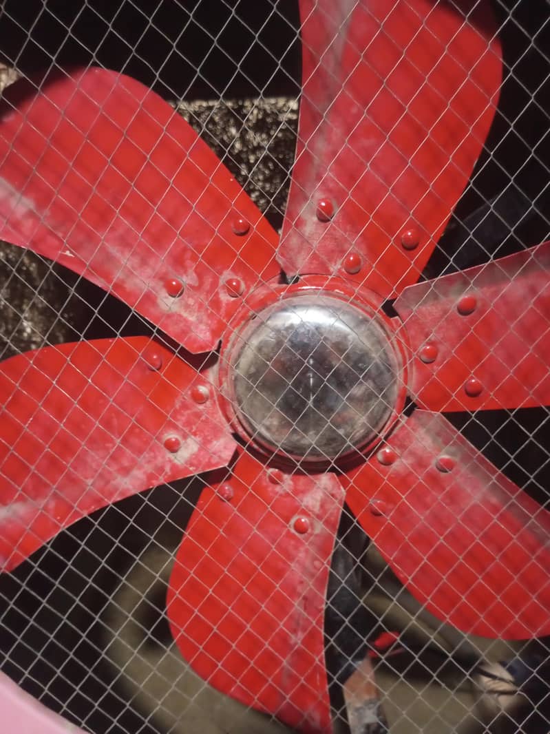cooler 5