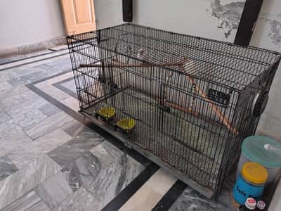 Cocktail Pair with double door Cage and Box and All Accessories