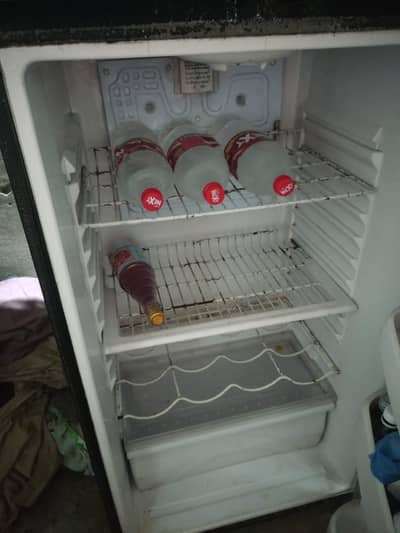 waves medium size fridge