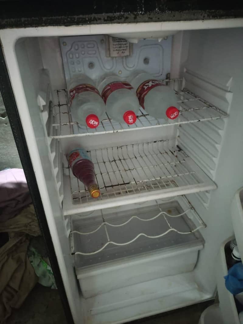 waves medium size fridge 2