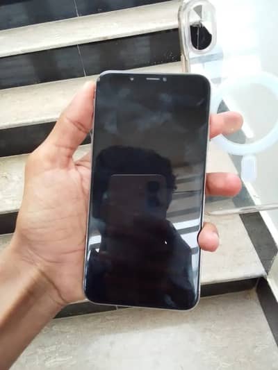 XS MAX 256 GB