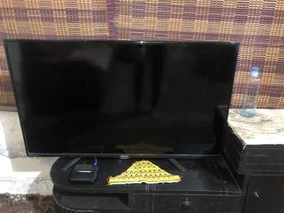 orient tv