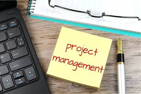 IT Project Manager/Cordinator