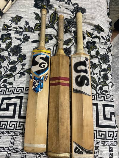 Cricket bat