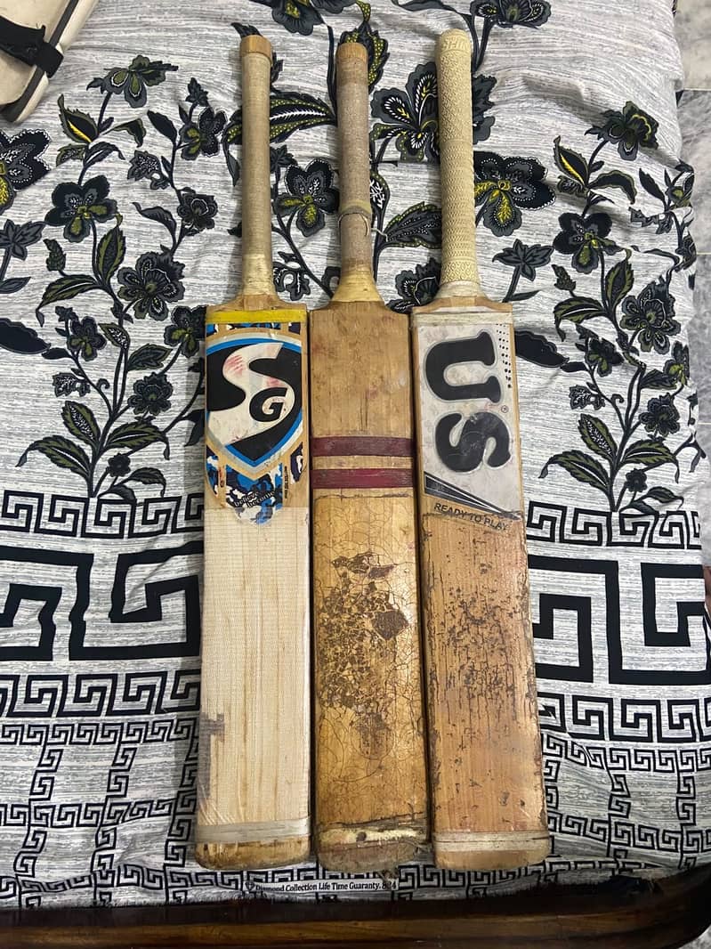 Cricket bat 1